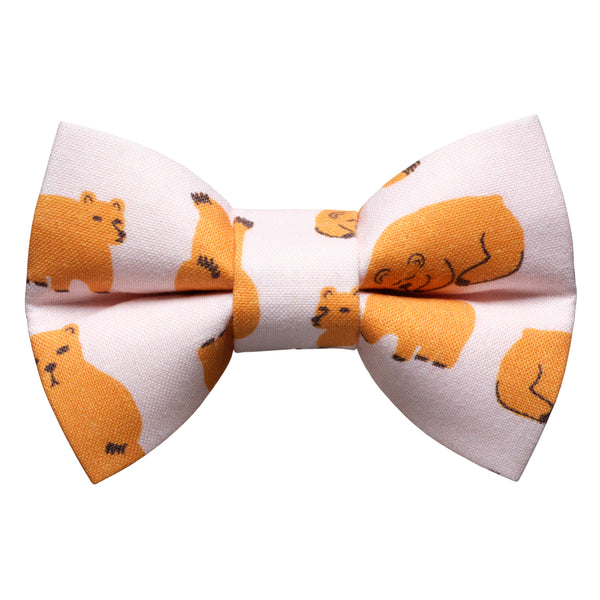 Bow tie for cats and dogs with brown bear print with pink background 