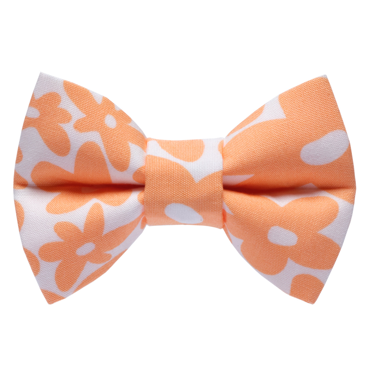 The Wild Child - Cat / Dog Bow Tie