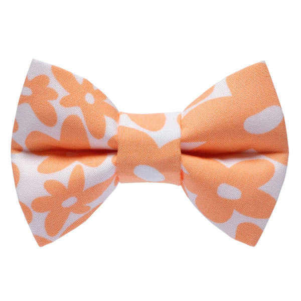 The Wild Child - Cat / Dog Bow Tie