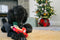 Home for the Holidays Holiday Hauler Plush Dog Toy