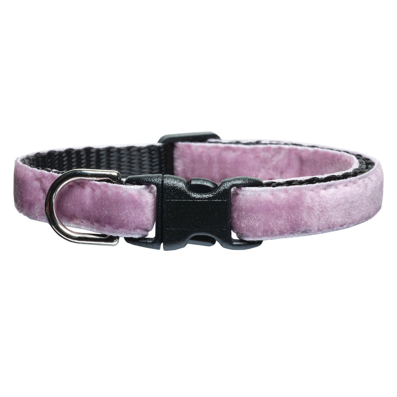 The Sugar Plum  - Cat Collar