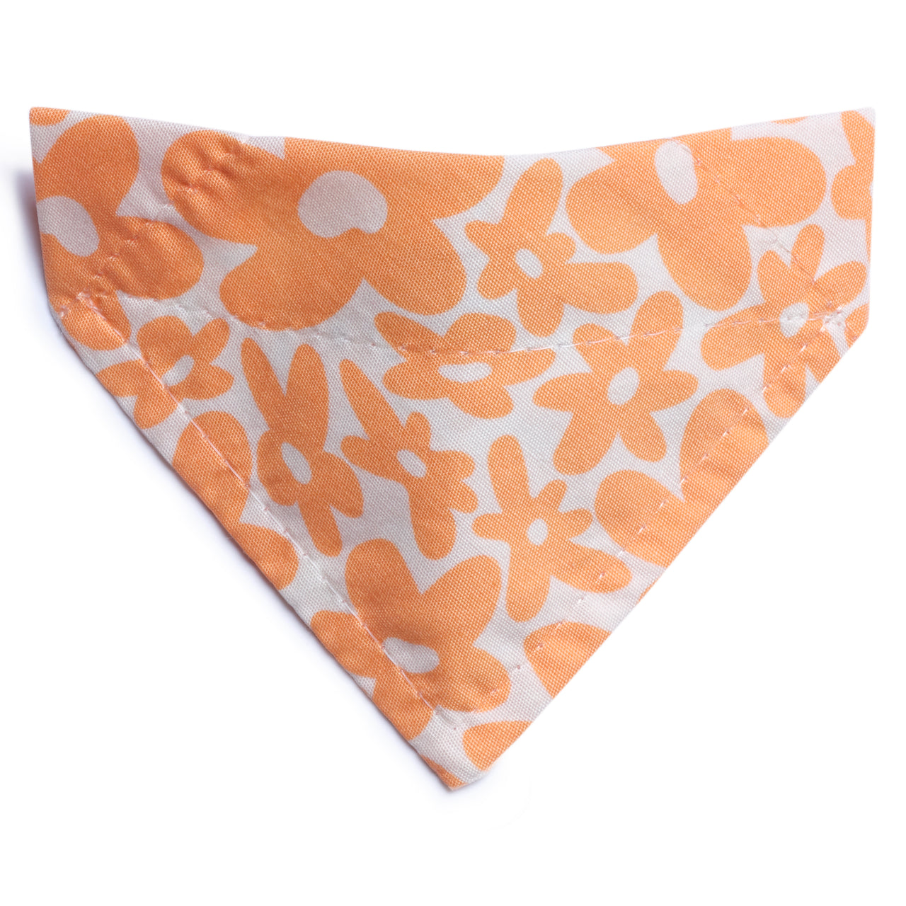 The Wild Child - Cat / Small Dog Bandana