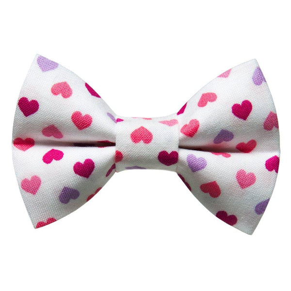 The Modern Romance - Cat Bow Tie