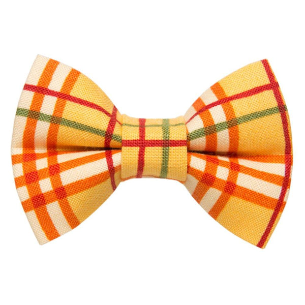 The Hayride - Cat Bow Tie