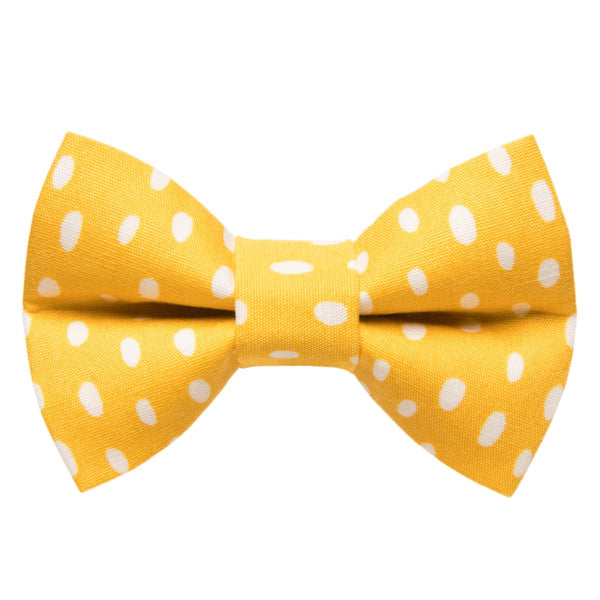The Always Sunny in Pickle-delphia - Cat Bow Tie
