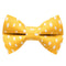 The Always Sunny in Pickle-dephia - Cat Collar + Matching Removable Bow Tie