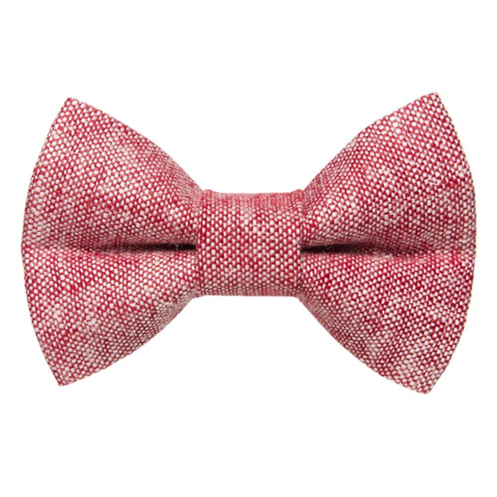 The Team Leader - Cat Bow Tie