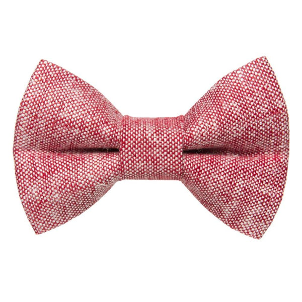 The Team Leader - Cat Bow Tie