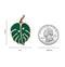 Monstera Leaf - Dog ID Tag / Charm