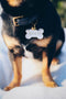 Treat Yo Self - Dog ID Tag / Charm