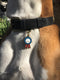 I Tried - Dog ID Tag / Charm