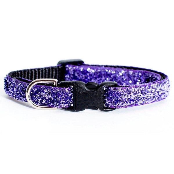The Purrrfectly Purple