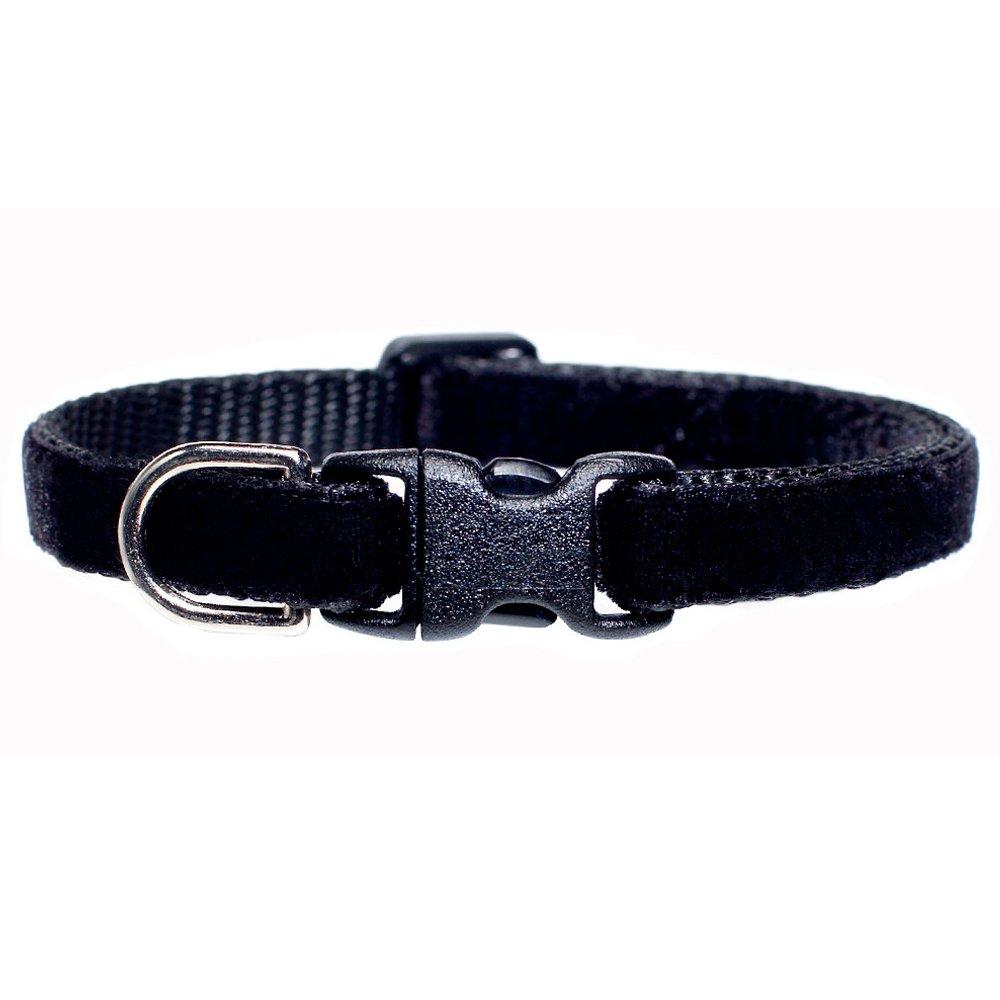 The Little Black Collar