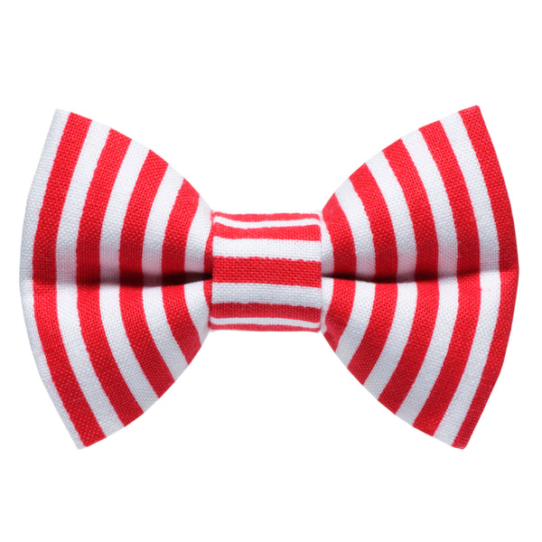 The Double Date - Cat / Dog Bow Tie