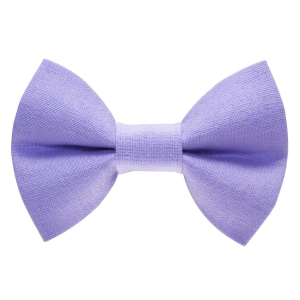 The Purrrple Rain 