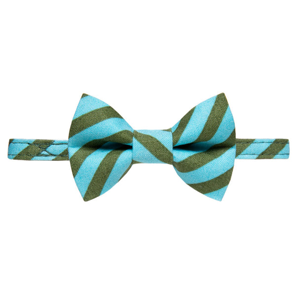 The Editor Collar + Matching Removable Bow Tie