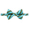 The Editor Collar + Matching Removable Bow Tie