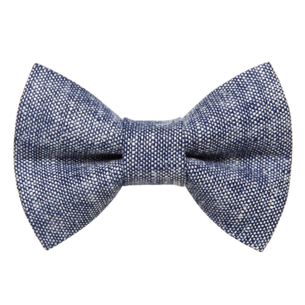 The Project Manager - Cat Bow Tie