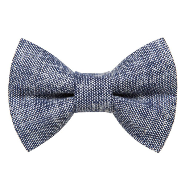 The Project Manager - Cat Bow Tie