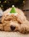 Holiday Hat - Elf
