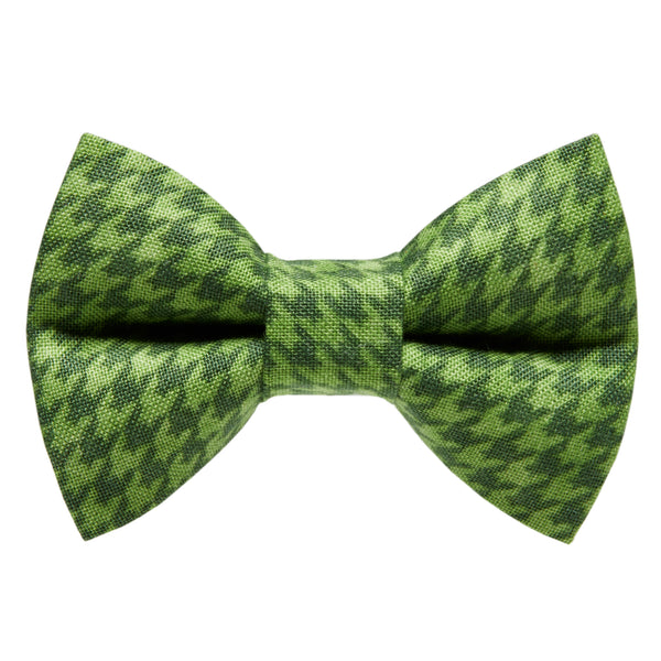 The Explorer - Cat / Dog Bow Tie
