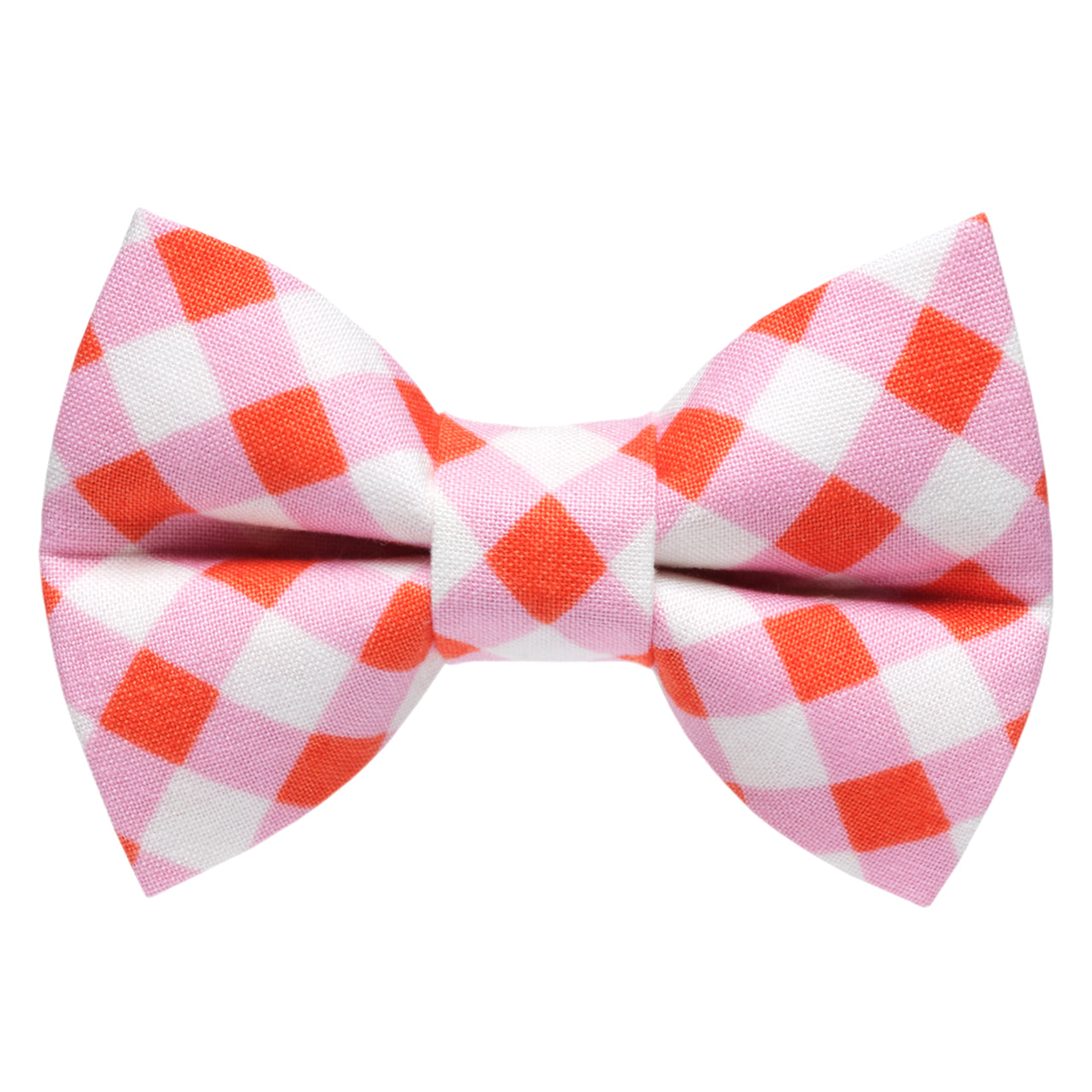 The New Neighbor - Cat / Dog Bow Tie