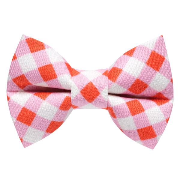 The New Neighbor - Cat / Dog Bow Tie