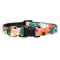 The Pathfinder  Collar + Matching Removable Bow Tie