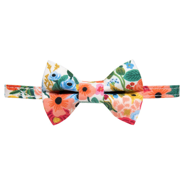 The Pathfinder  Collar + Matching Removable Bow Tie