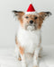 Holiday Hat - Santa