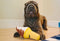 Swirls n Slobbers Soft Serve - Dog Toy